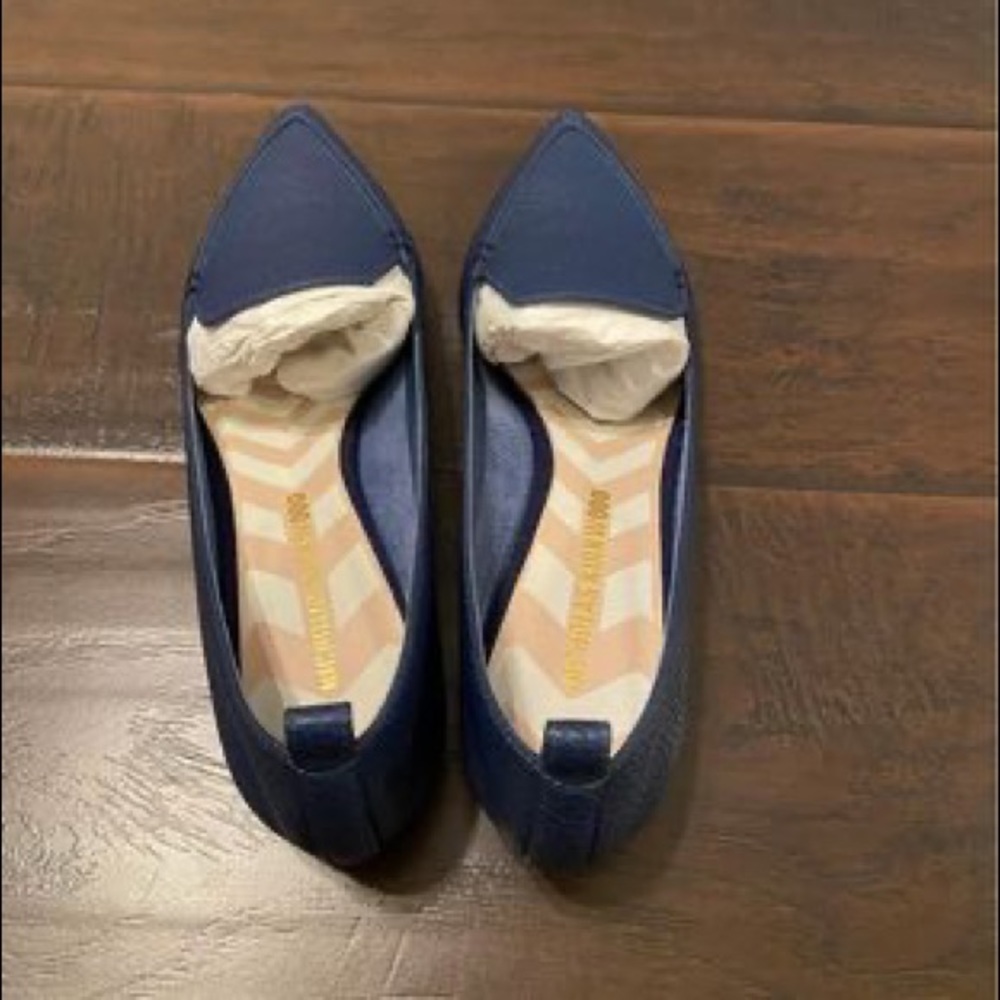 Nicolas Kirkwood Brand New